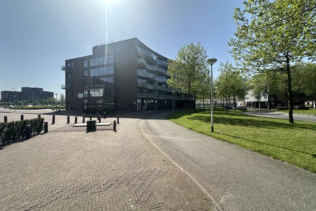 HOOFDFOTO