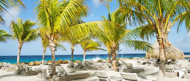 jan thiel en vista royal strand huizen die te koop zijn op curacao bij de makelaar van curacao