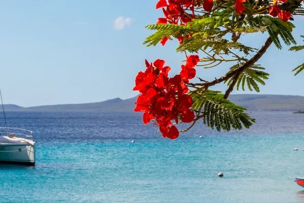 woning-verkopen-curacao