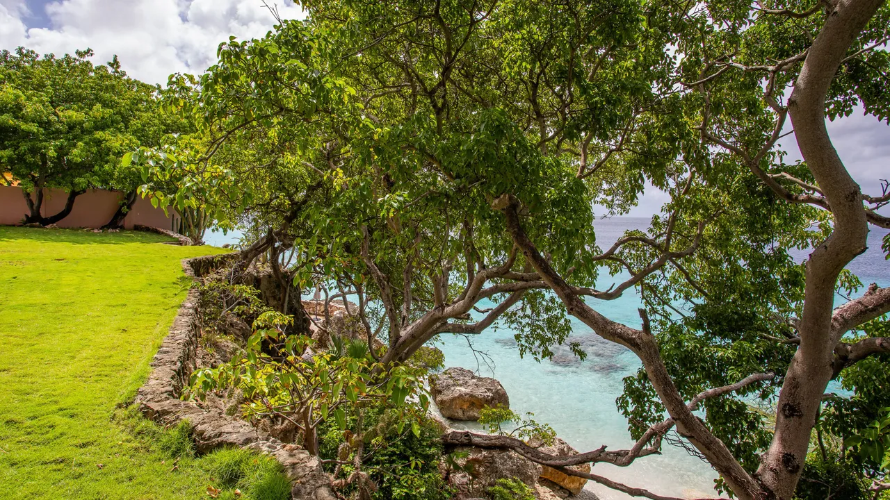 Photo 46 of Westpunt Playa Kalki