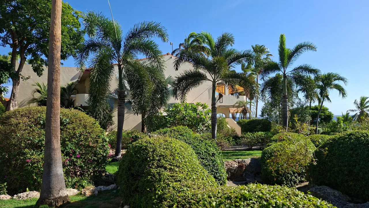 Photo 22 of Royal Palm Resort