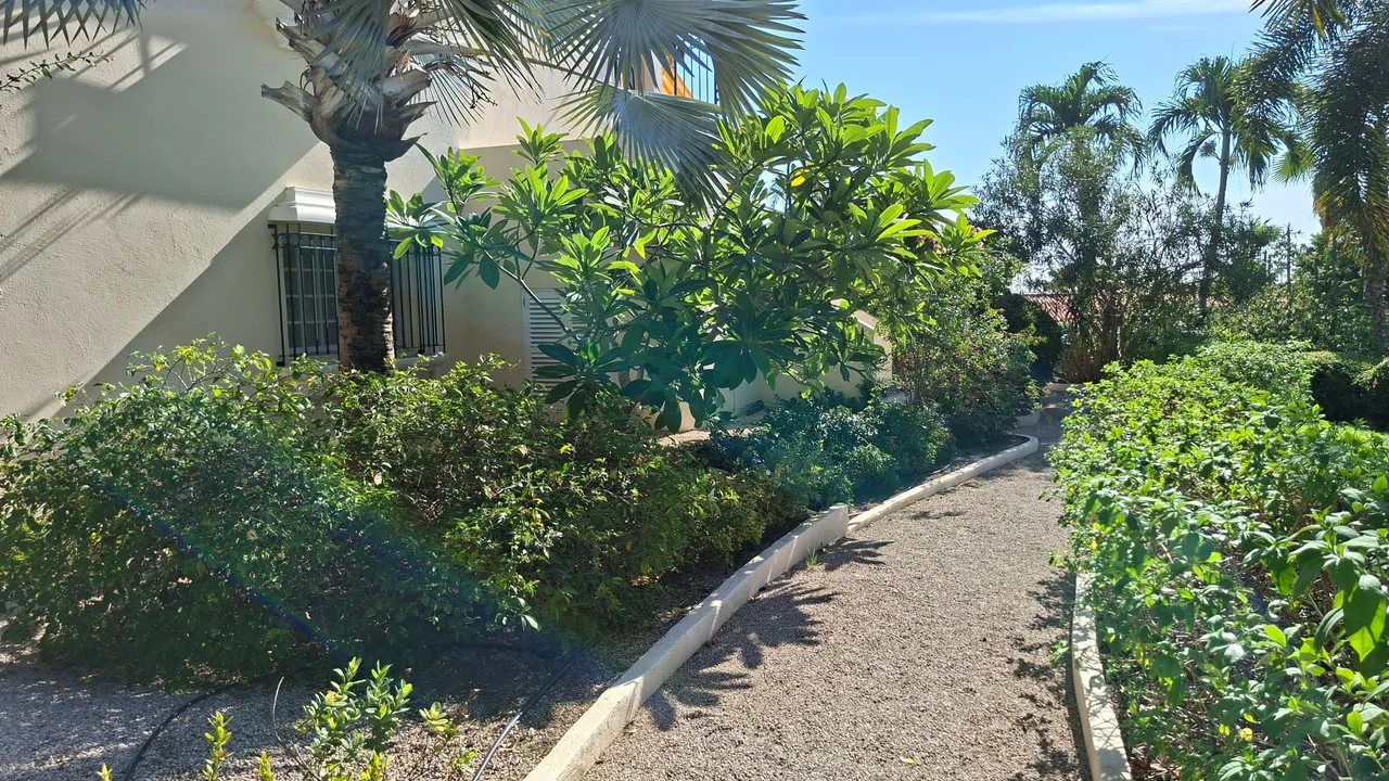 Photo 18 of Royal Palm Resort