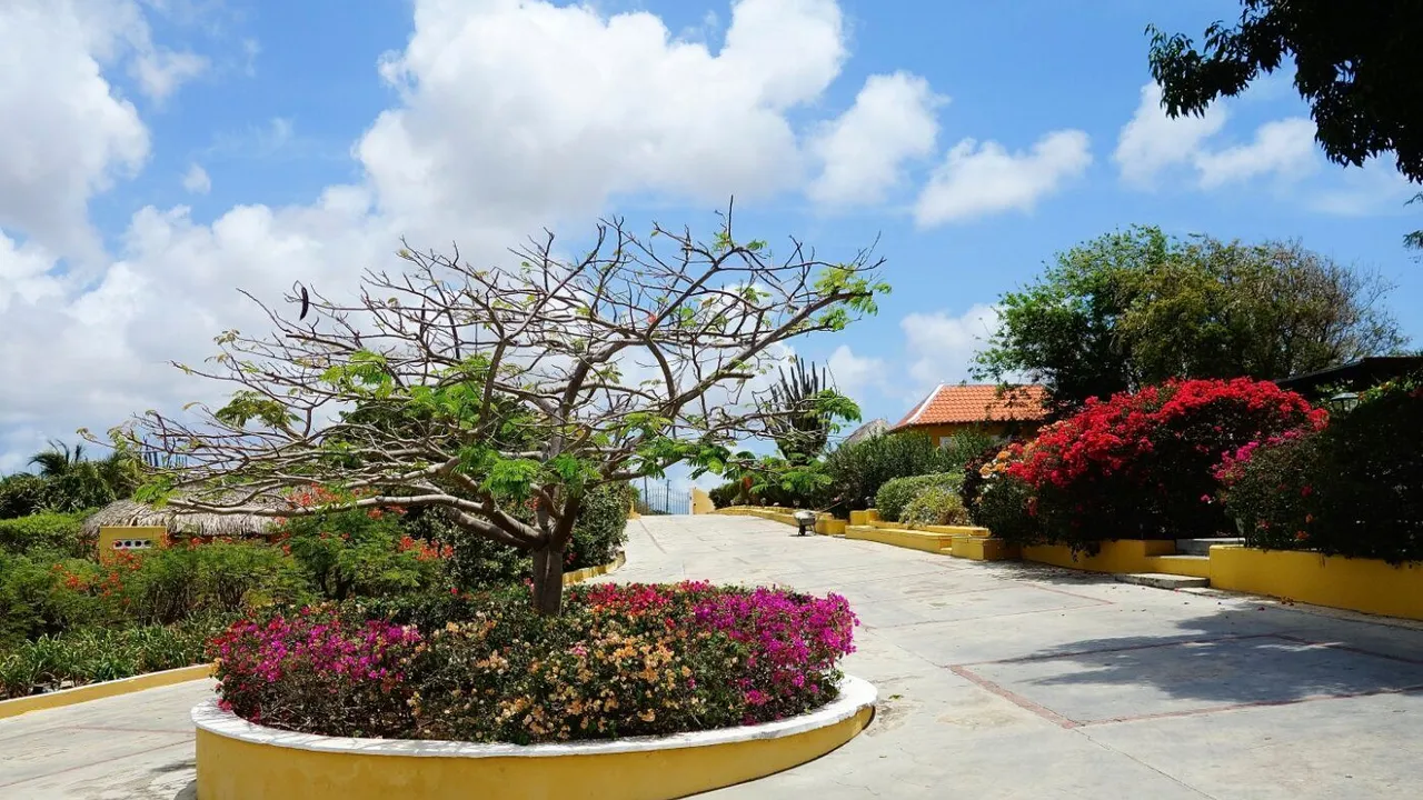 Photo 24 of Caracasbaaiweg