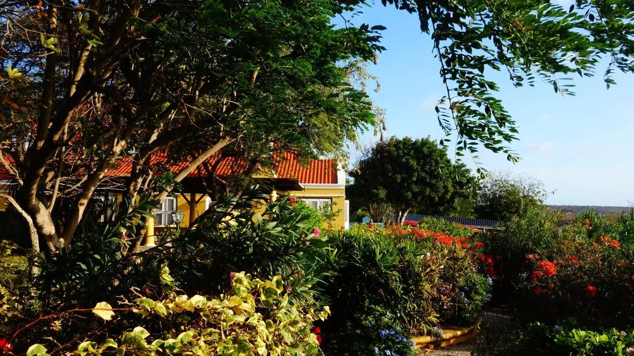Photo 48 of Caracasbaaiweg