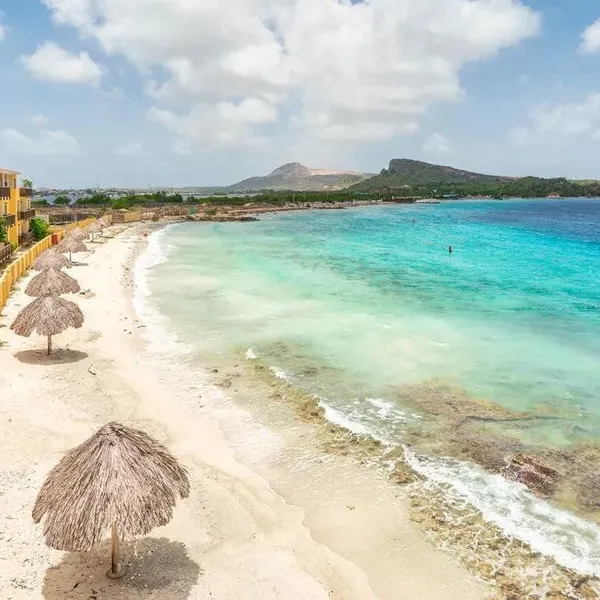 La Palapa 20 - foto 1