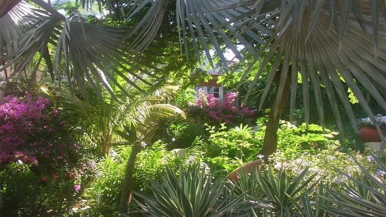 Photo 16 of Seru Boca Estate 35