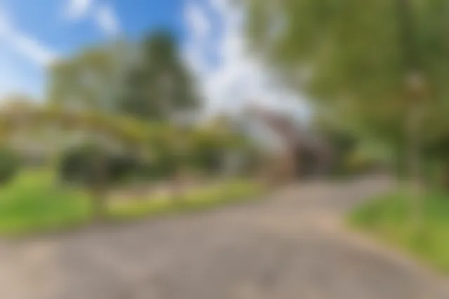 HOOFDFOTO