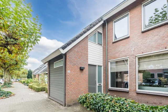 Foto 1 van Wit Hollandven 20