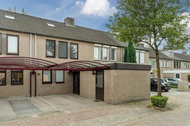 Foto 1 van Schutsboom 3