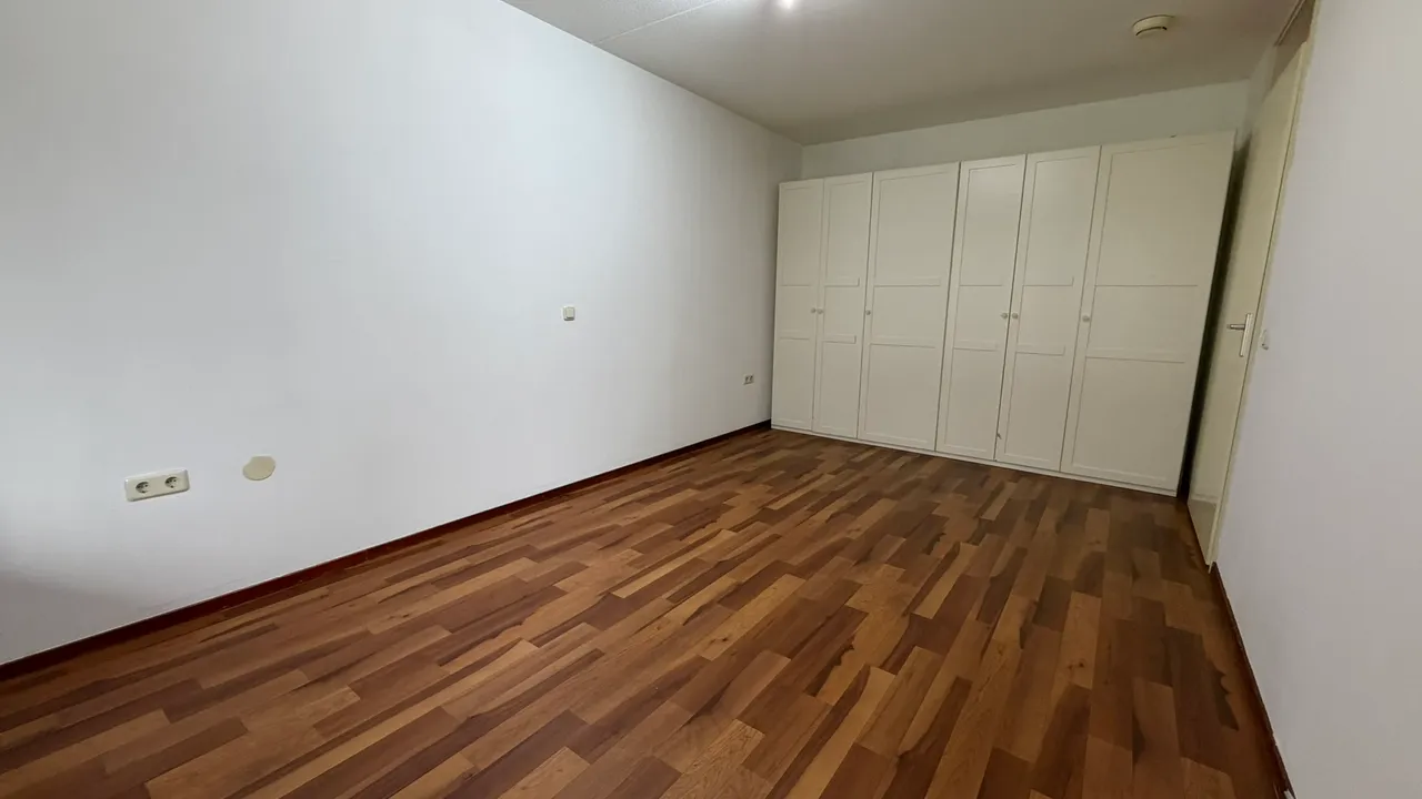 Medium 17